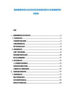 智能客服系統行業市場分析及投資機遇與行業發展趨勢研究報告