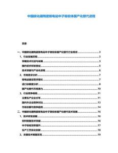 中國碳化硼陶瓷核電站中子吸收體國產(chǎn)化替代進程