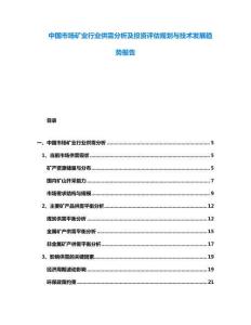 中国市场矿业行业供需分析及投资评估规划与技术发展趋势报告
