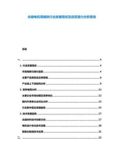 永磁電機用磁鐵行業(yè)發(fā)展現(xiàn)狀及投資潛力分析報告