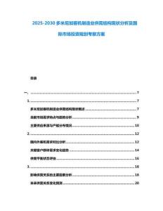 2025-2030多米尼加客機制造業供需結構現狀分析及國際市場投資規劃考察方案