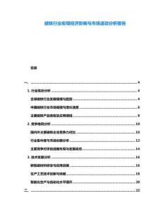 磁鐵行業(yè)宏觀經(jīng)濟(jì)影響與市場(chǎng)波動(dòng)分析報(bào)告