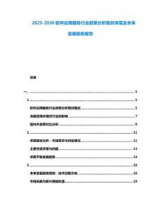 2025-2030軟件應用服務行業政策分析現狀供需及未來發展趨勢報告
