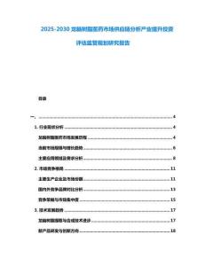 2025-2030龍腦樹脂醫(yī)藥市場供應(yīng)鏈分析產(chǎn)業(yè)提升投資評估監(jiān)管規(guī)劃研究報告