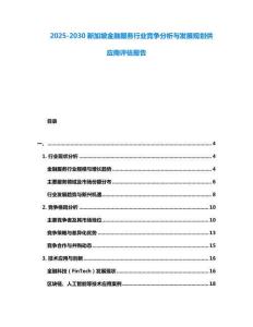 2025-2030新加坡金融服務行業競爭分析與發展規劃供應商評估報告