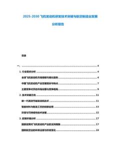 2025-2030飛機發動機研發技術突破與航空制造業發展分析報告