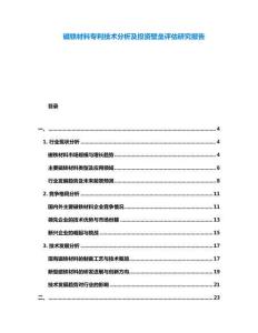 磁鐵材料專利技術(shù)分析及投資壁壘評估研究報告