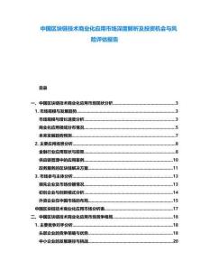中國區(qū)塊鏈技術(shù)商業(yè)化應(yīng)用市場深度解析及投資機(jī)會與風(fēng)險(xiǎn)評估報(bào)告
