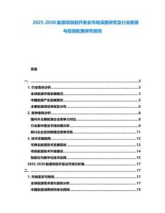 2025-2030能源項(xiàng)目的開發(fā)業(yè)市場深度研究及行業(yè)前景與投資配置研究報(bào)告