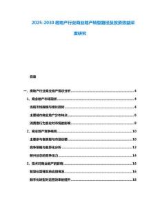 2025-2030房地產行業商業地產轉型路徑及投資效益深度研究