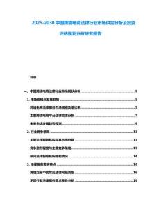2025-2030中國跨境電商法律行業市場供需分析及投資評估規劃分析研究報告