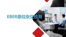 EBER原位雜交檢測