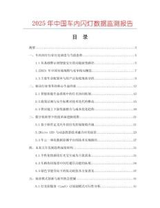 2025年中國車內(nèi)閃燈數(shù)據(jù)監(jiān)測報告