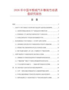 2026年中國羊剪絨汽車靠背市場調(diào)查研究報告