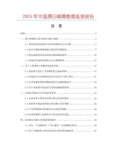 2025年中國(guó)漂白啫喱數(shù)據(jù)監(jiān)測(cè)報(bào)告