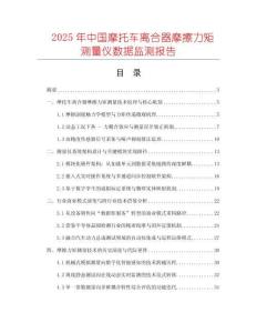 2025年中国摩托车离合器摩擦力矩测量仪数据监测报告
