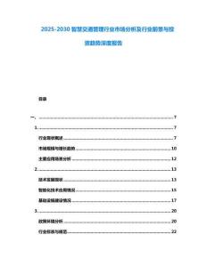 2025-2030智慧交通管理行業(yè)市場(chǎng)分析及行業(yè)前景與投資趨勢(shì)深度報(bào)告
