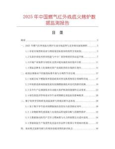 2025年中國燃氣紅外線底火烤爐數據監測報告
