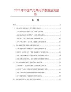 2025年中國(guó)氣電兩用爐數(shù)據(jù)監(jiān)測(cè)報(bào)告
