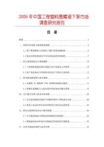 2026年中國工程塑料懸臂液下泵市場調(diào)查研究報告