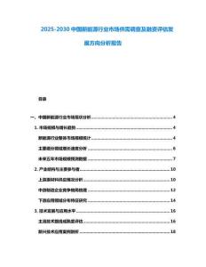 2025-2030中國(guó)新能源行業(yè)市場(chǎng)供需調(diào)查及融資評(píng)估發(fā)展方向分析報(bào)告