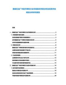 挪威石油廠中的升降機(jī)行業(yè)市場(chǎng)現(xiàn)狀供需分析及投資評(píng)估規(guī)劃分析研究報(bào)告