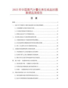2025年中國(guó)蒸汽計(jì)量?jī)x表在線監(jiān)時(shí)器數(shù)據(jù)監(jiān)測(cè)報(bào)告