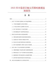 2025年中國多功能尖頂蒸柜數(shù)據(jù)監(jiān)測報(bào)告