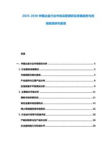 2025-2030中國冶金行業市場深度調研及發展趨勢與投資前景研究報告