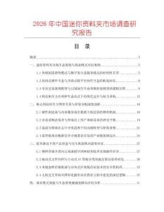 2026年中國迷你資料夾市場調查研究報告