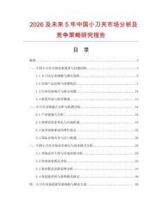 2026及未來5年中國小刀夾市場分析及競爭策略研究報(bào)告