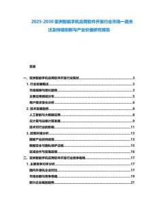 2025-2030亞洲智能手機(jī)應(yīng)用軟件開發(fā)行業(yè)市場(chǎng)一直關(guān)注及持續(xù)創(chuàng)新與產(chǎn)業(yè)價(jià)值研究報(bào)告