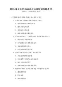 2025年企業(yè)內部審計與風險控制策略考試