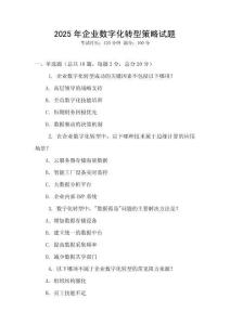 2025年企業(yè)數(shù)字化轉(zhuǎn)型策略試題