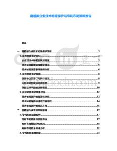 腐植酸企業(yè)技術(shù)秘密保護與專利布局策略報告
