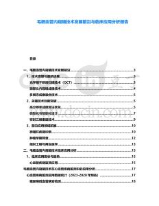 毛細血管內窺鏡技術發展前沿與臨床應用分析報告