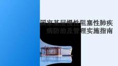 國(guó)家基層慢性阻塞性肺疾病防治及管理實(shí)施指南