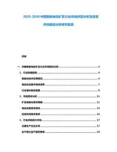 2025-2030中國智能電動礦區行業市場供需分析及投資評估規劃分析研究報告