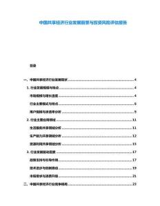 中國共享經濟行業發展前景與投資風險評估報告