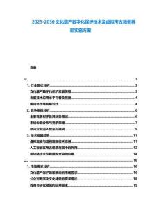 2025-2030文化遺產(chǎn)數(shù)字化保護技術(shù)及虛擬考古場景再現(xiàn)實施方案