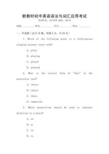 新教材初中英语语法与词汇应用考试