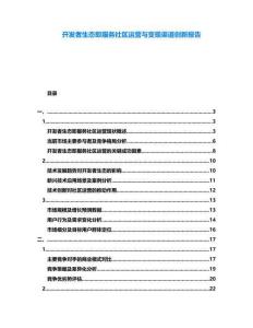 開發(fā)者生態(tài)即服務社區(qū)運營與變現(xiàn)渠道創(chuàng)新報告