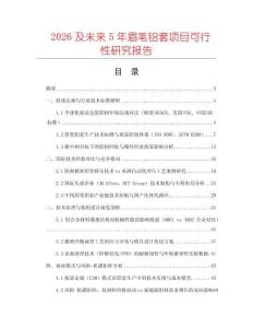 2026及未來5年眉筆鋁套項目可行性研究報告