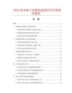 2026及未來5年梅花墊項目可行性研究報告