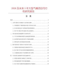 2026及未來(lái)5年大型氣模項(xiàng)目可行性研究報(bào)告