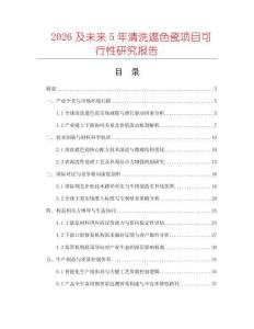 2026及未來(lái)5年清洗遮色瓷項(xiàng)目可行性研究報(bào)告