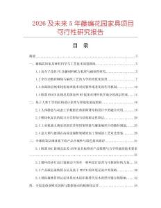 2026及未來(lái)5年藤編花園家具項(xiàng)目可行性研究報(bào)告