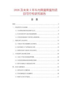 2026及未來5年車內(nèi)降溫降溫劑項(xiàng)目可行性研究報(bào)告