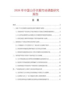 2026年中國公仔衣服市場調(diào)查研究報告