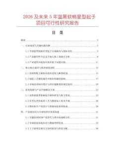 2026及未來5年藍(lán)黑軟柄星型起子項(xiàng)目可行性研究報(bào)告